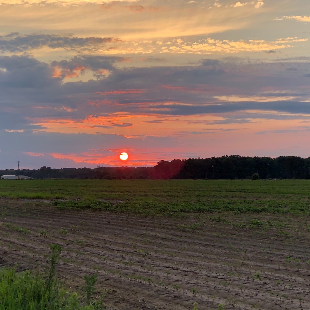 Meet your Posher, Britny